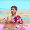 About Tor Se Mile Jaat Rahon Song